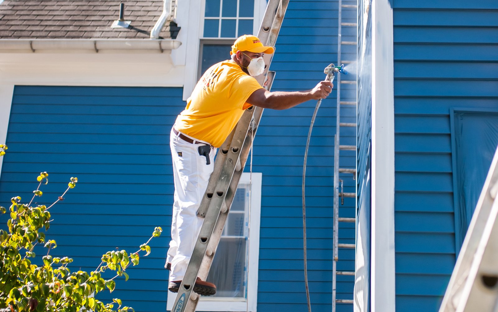 Painter Paremoremo