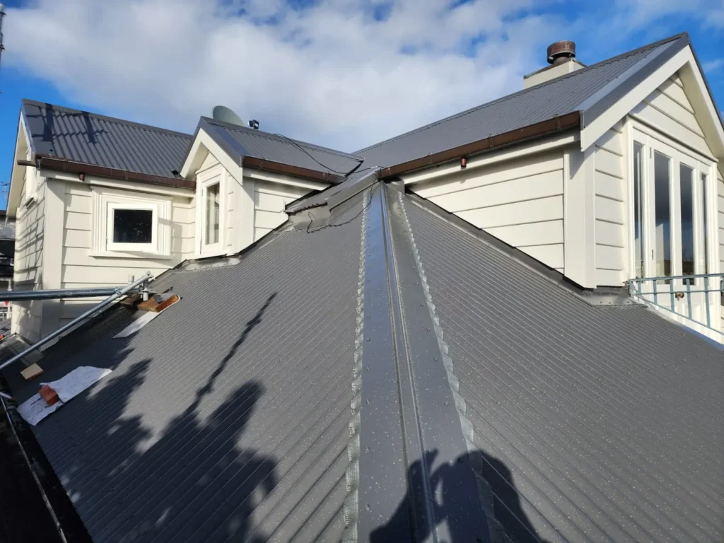 Roof Painter Near Me (North Auckland)